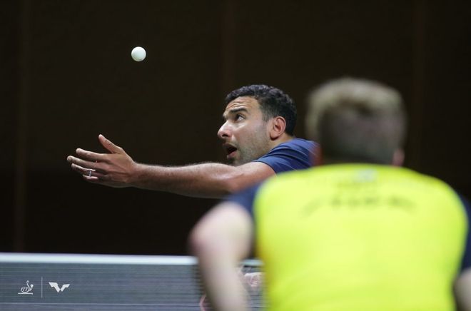 37岁的老 37岁的老