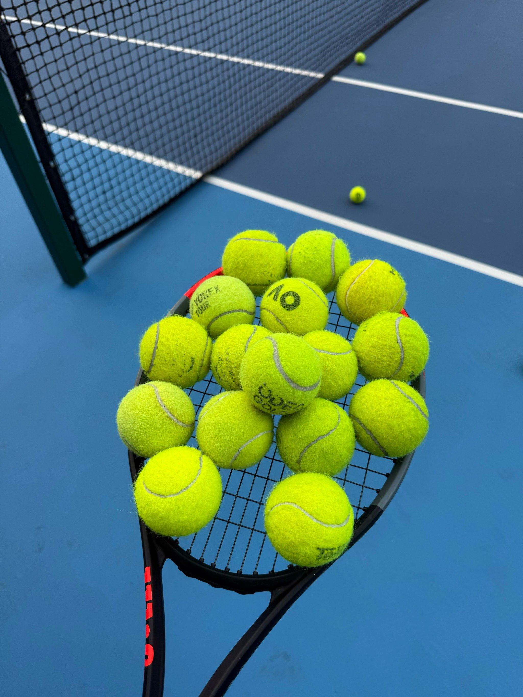 与潘展乐的 与潘展乐的